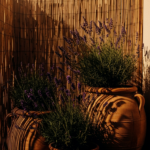 15 Brilliant Small Balcony Privacy Ideas for Your Cozy Outdoor Space